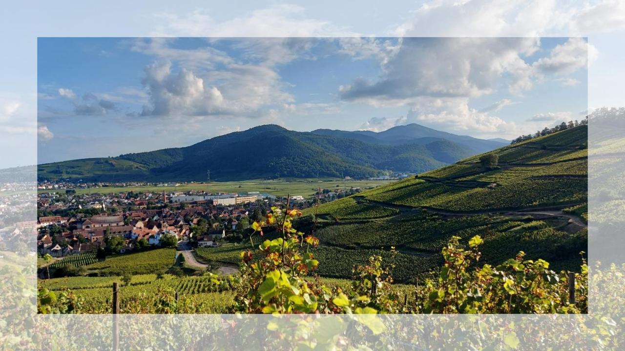 Les Toits De Turckheim Daire Dış mekan fotoğraf